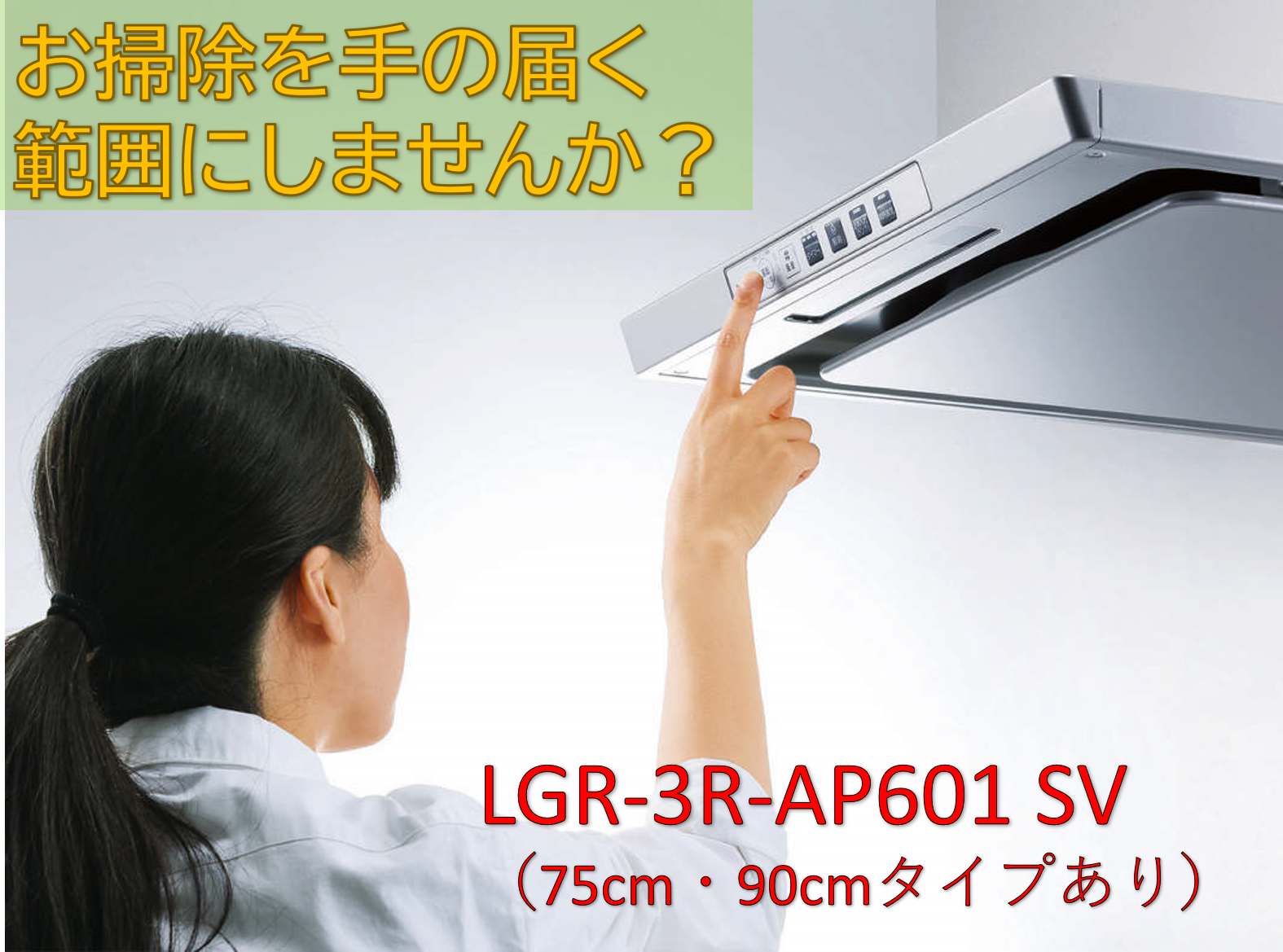 LGR-3R-AP601SV販売画像