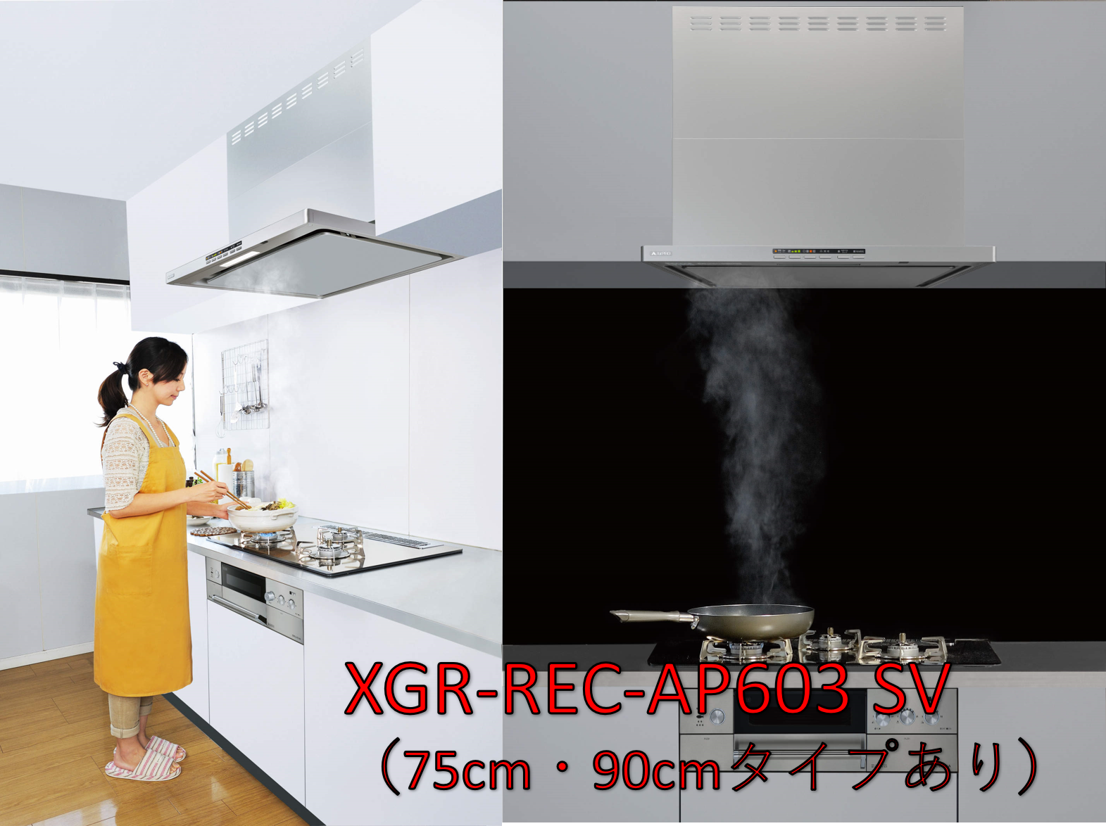 XGR-REC-AP603SV販売画像