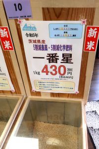 令和5年産 茨城県産 一番星