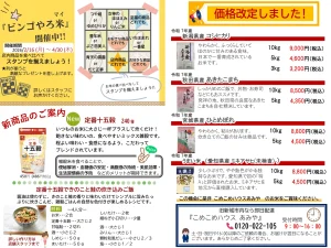 ビンゴやろ米 定番十五穀米 きのこと鮭の炊き込みご飯